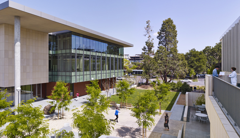 Asian Liver Center Stanford – Telegraph